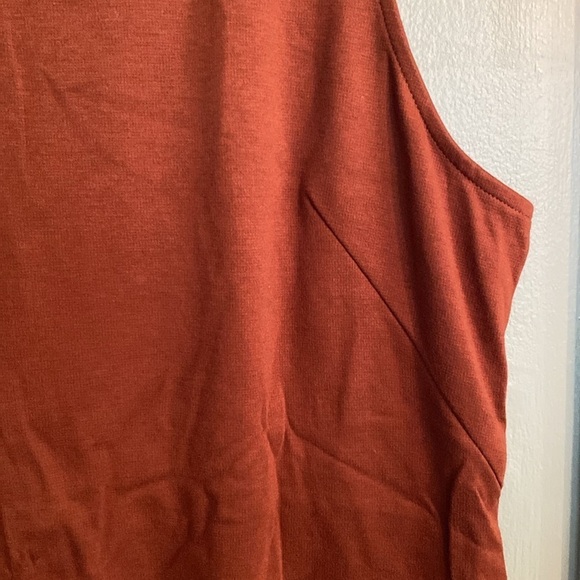 Everlane Brown Sleeveless Dress - Picture 6 of 8